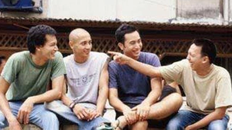 Chasing The Sun (2004)