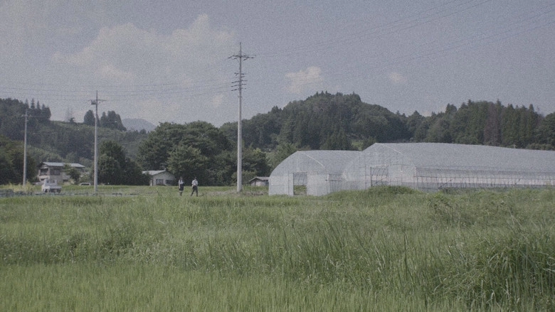 How To Identify The Right Bus (2019)