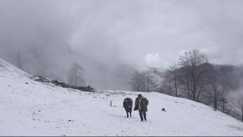 Cold Of Kalandar (2016)