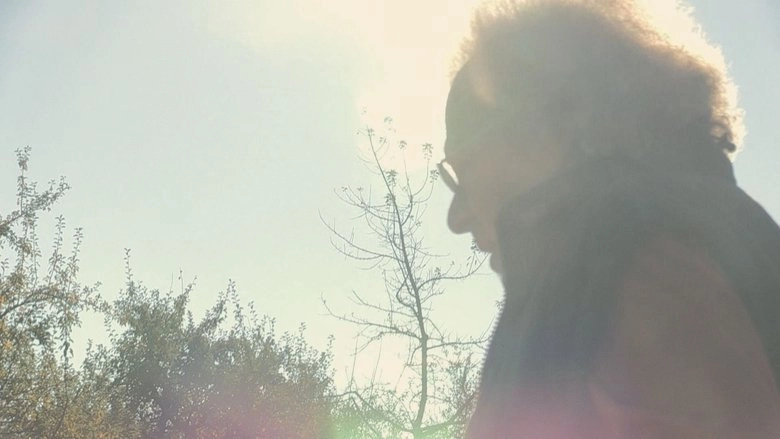 W. What Remains Of The Lie (2020)