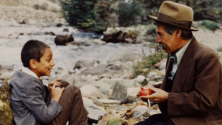 Bibi Chelchele (1986)