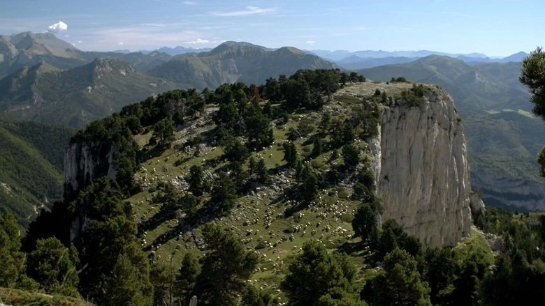 La Metaphysique Du Berger (2021)