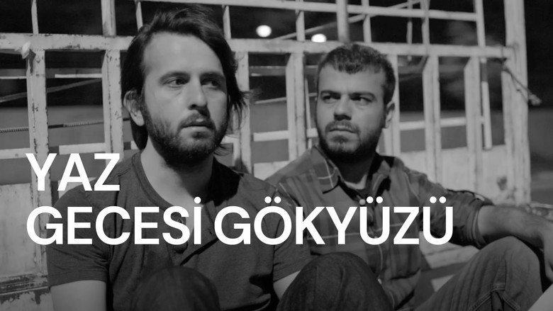 Yaz Gecesi Gokyuzu (2014)
