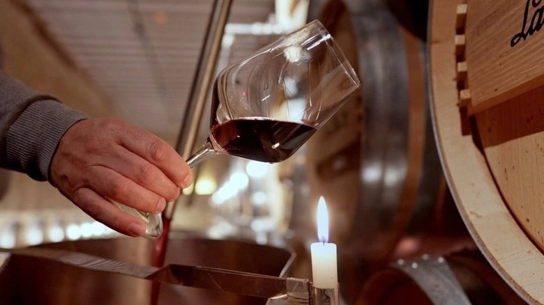 Rioja, Land Of The Thousand Wines (2023)