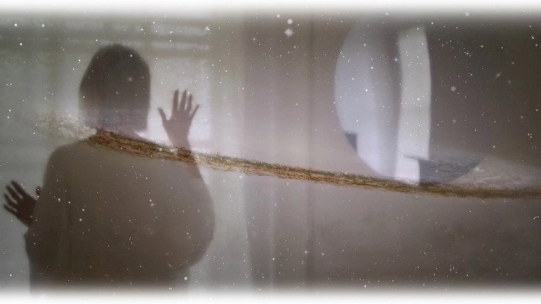 Parallel Dreams (2015)