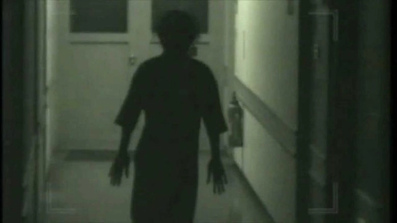 Nagai Yume (2000)