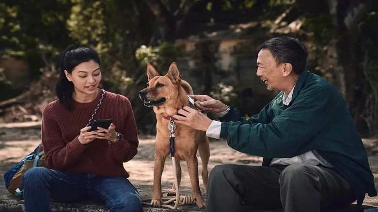 An Abandoned Team (2024)