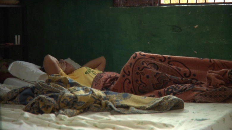 Amor Y Frijoles (2009)