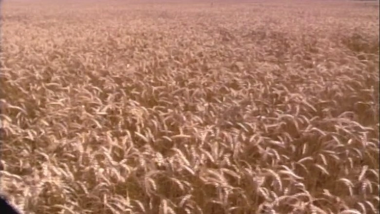 End Of The Harvest (1998)