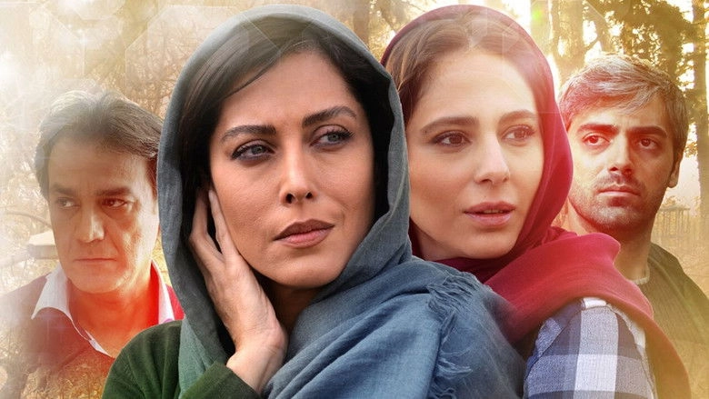 Consternation (2017)