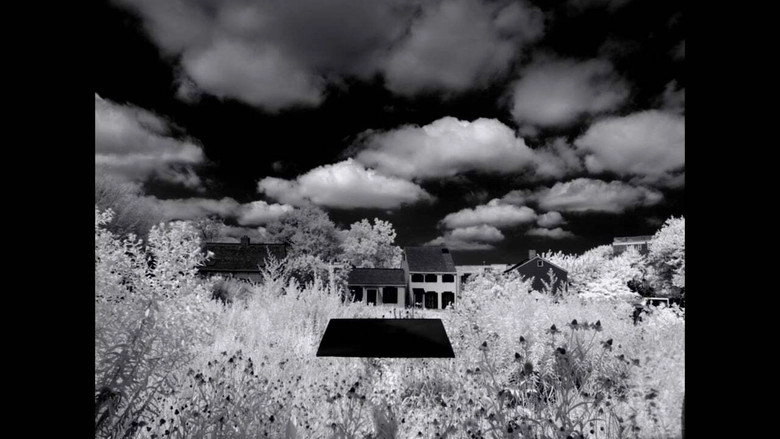 Letter To The Free (2016)