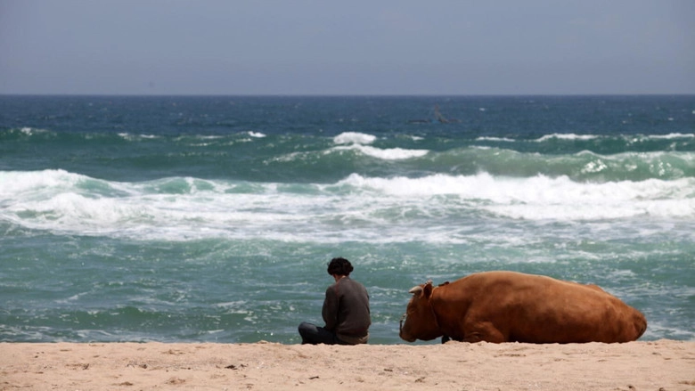 Rolling Home With A Bull (2010)