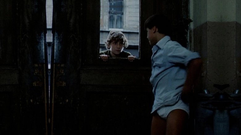 Kam Doskace Ranni Ptace (1987)