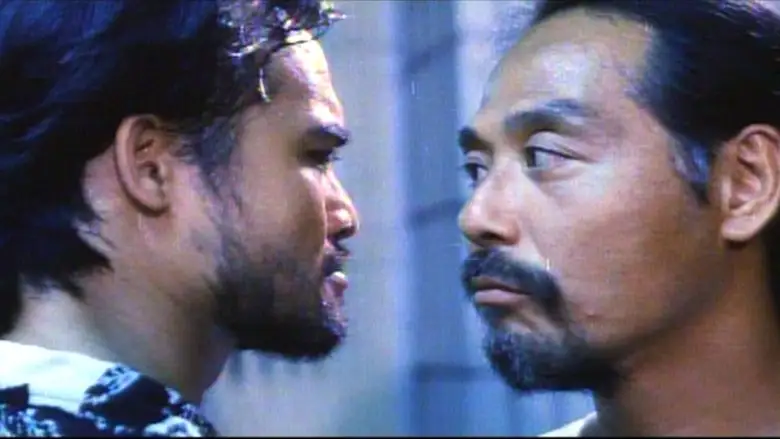 The Unpublicizable File (1993)