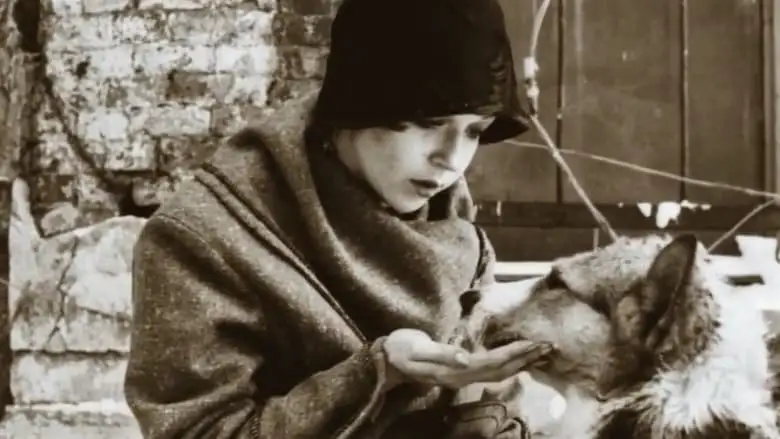 Heart Of A Dog (1988)