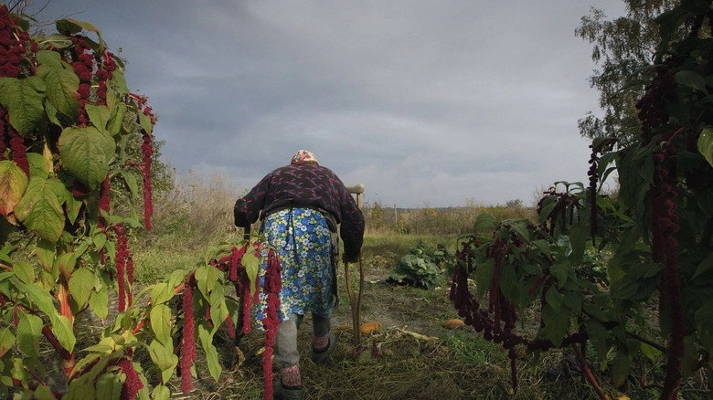 The Invisible City (2014)