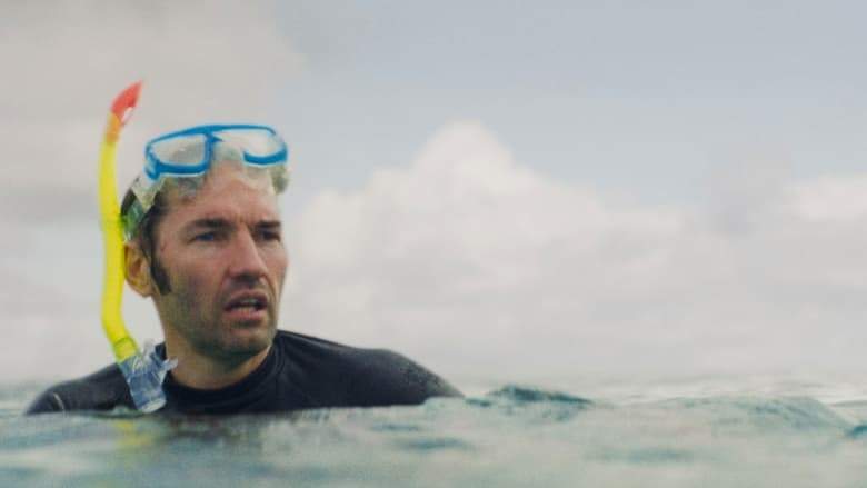 Shark (2021)