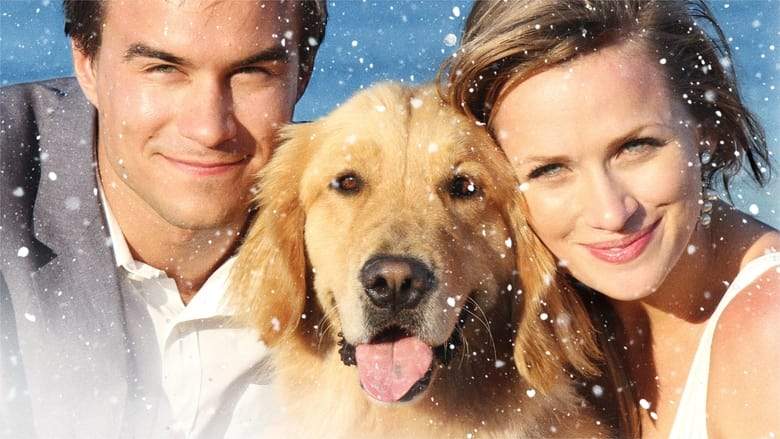 A Golden Christmas 3 (2012)