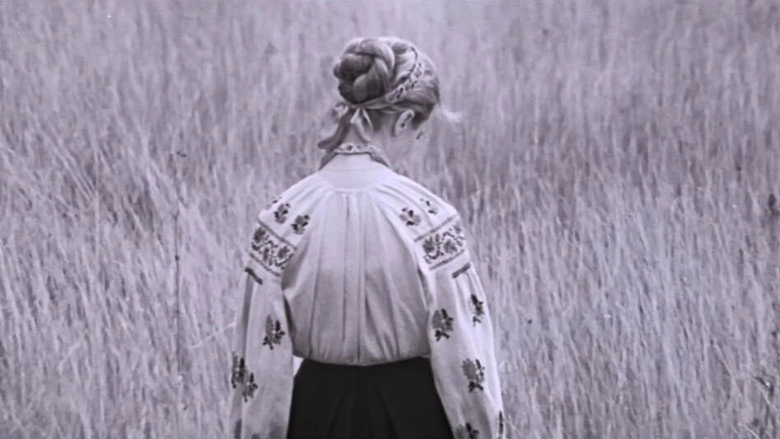 Idu K Tebe... (1970)