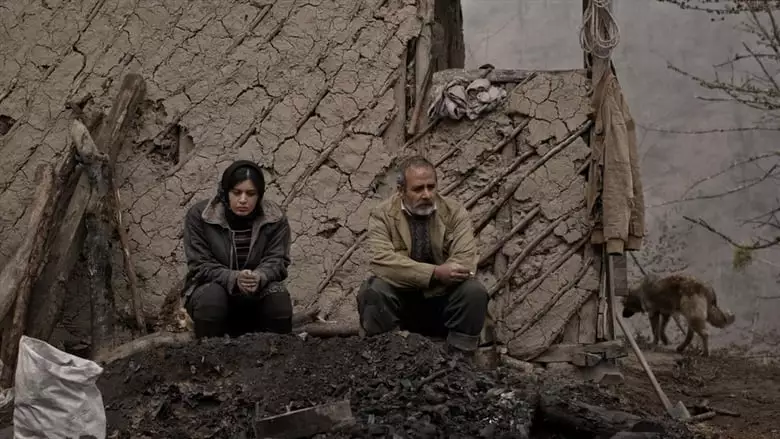 The Charcoal (2019)
