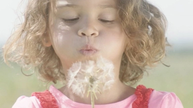 Dandelion (2023)