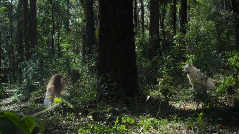 All Silent Dogs (2022)