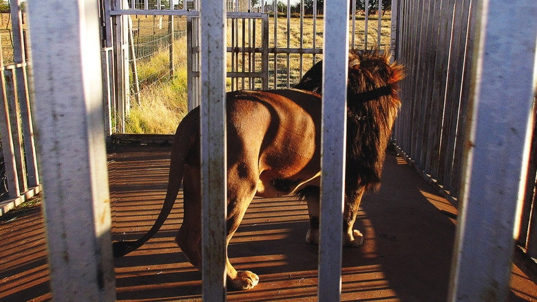 Blood Lions (2015)