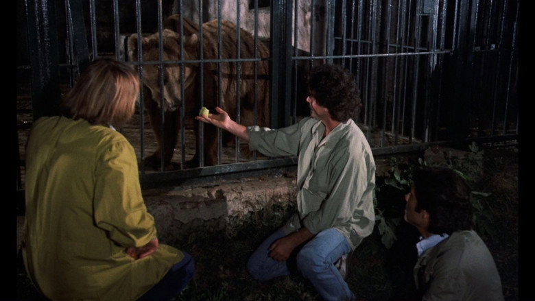 The Wild Beasts (1984)