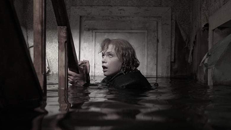 De Storm (2009)