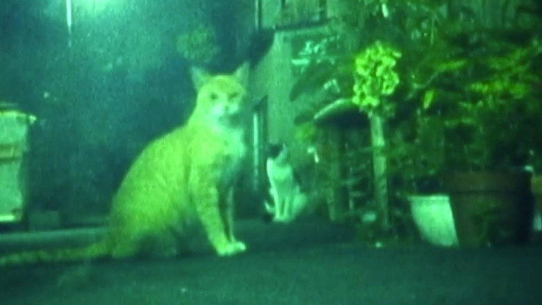 EKTADIARY: NIGHT COLOURS (2000)