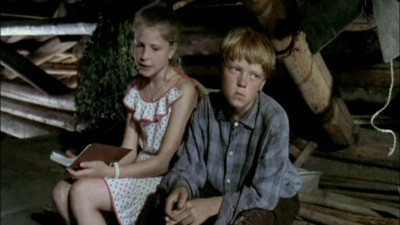 Domovik I Kruzhevnitsa (1995)