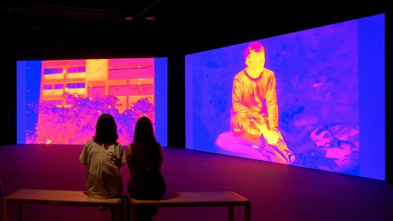 The Owl, The Travellers, And The Cement Drain (2024)