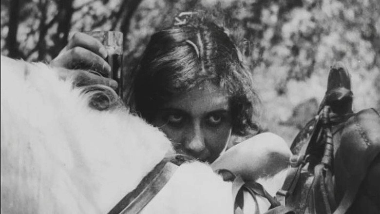 The Case Of The Murder Of Tariel Mklavadze (1925)