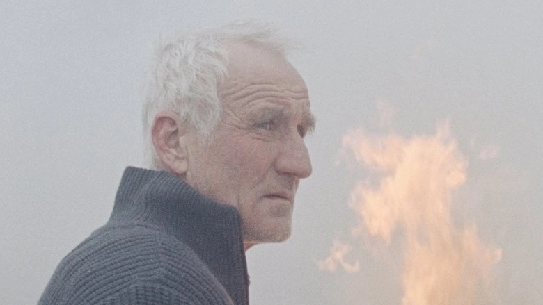 Rietland (2025)
