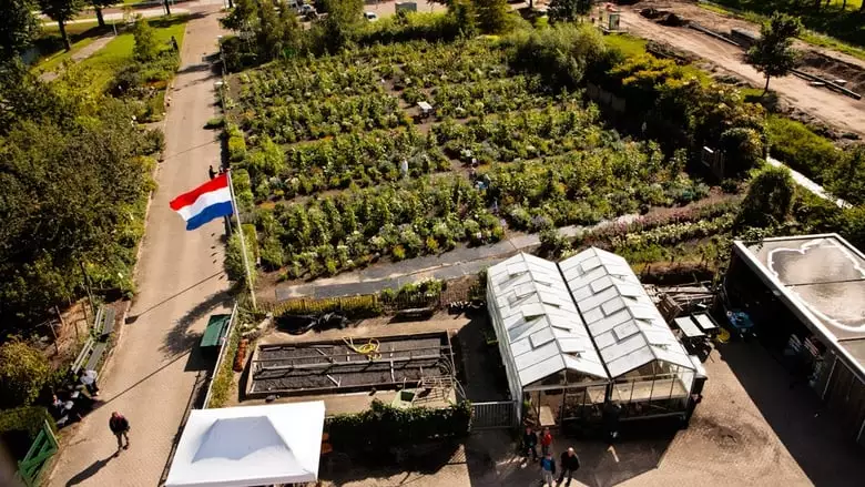 De Schooltuin (2020)