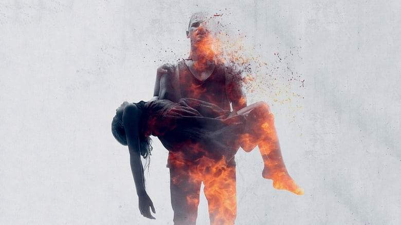 These Final Hours (2014)