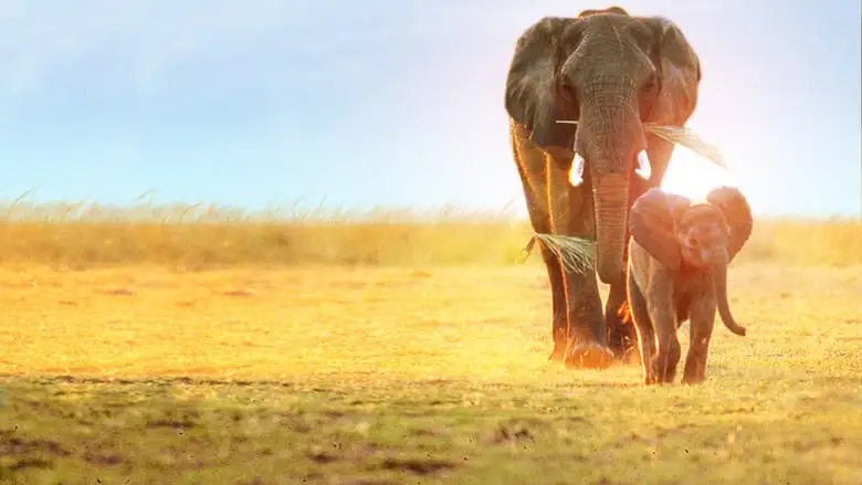 Whispers: An Elephant's Tale (2000)