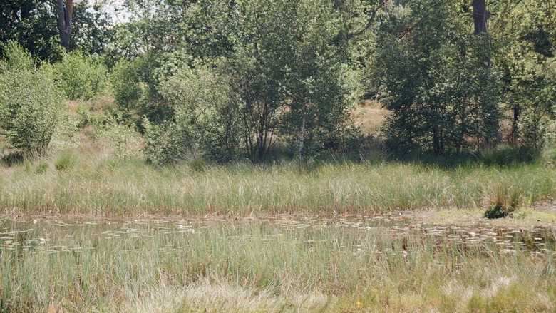 En Plein Air (2022)