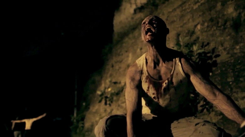 Toque De Queda (2011)