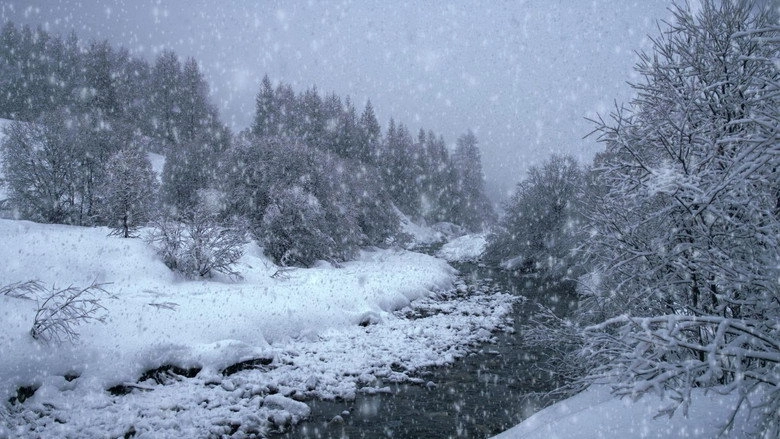 The Search For Snow (2021)