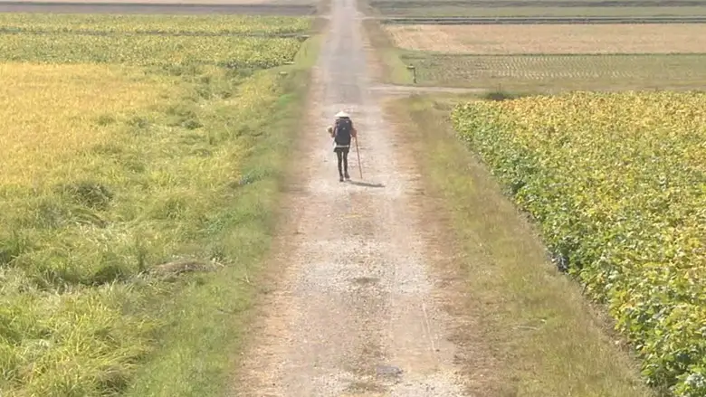 Walk, Walk, Walk ~ Shikoku Pilgrimage Journey (2013)