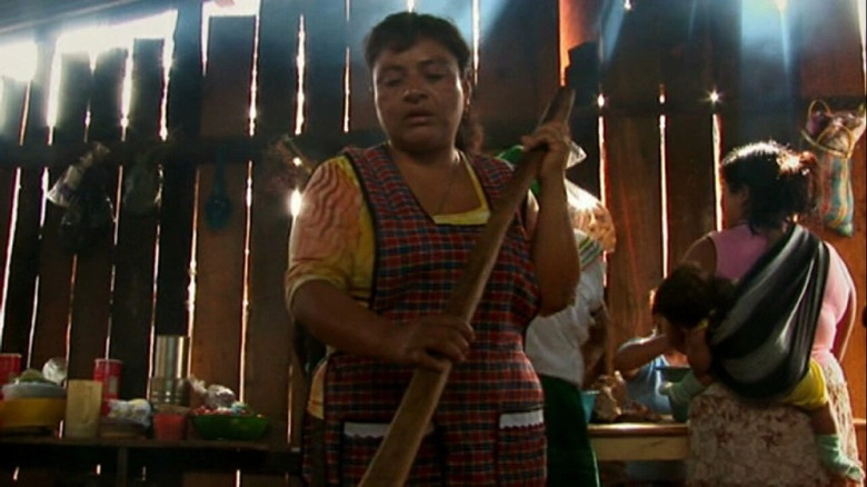 Despues Del Zapatismo (2010)