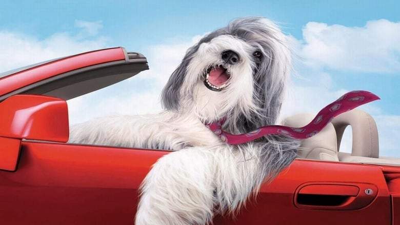 The Shaggy Dog (2006)