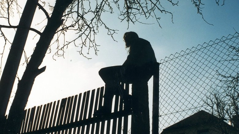 Uber Die Grenze - Funf Ansichten Von Nachbarn (2004)