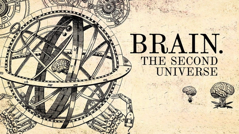 Brain. Second Universe (2017)