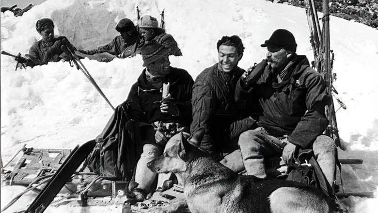 Blekitny Krzyz (1955)