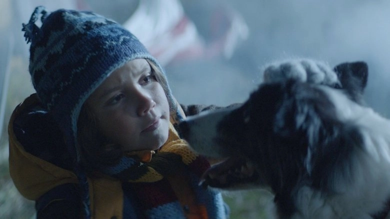 A Wish Upon A Satellite (2021)