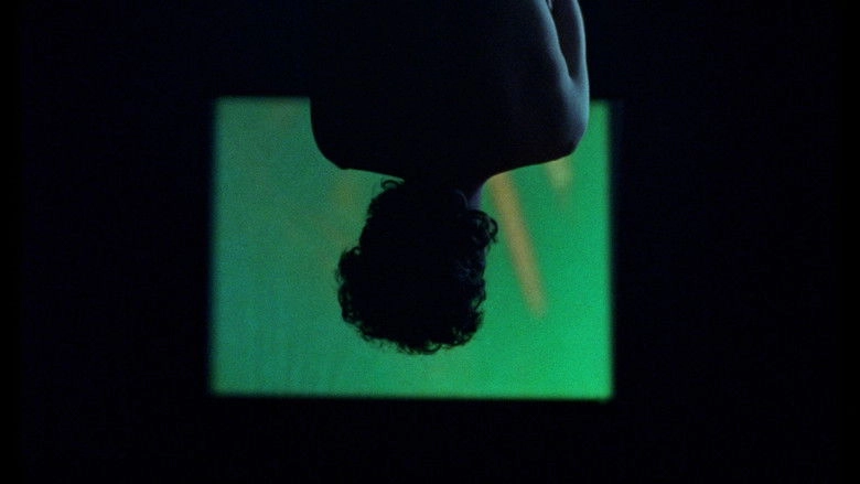 Los Murcielagos Han Abandonado El Campanario (2025)