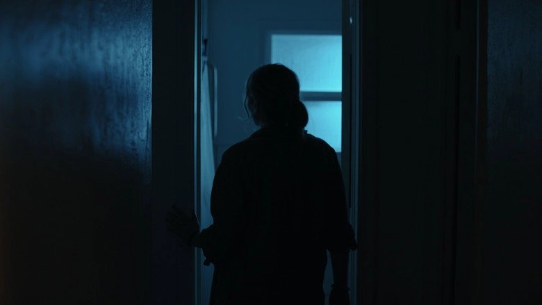 We Lied (2026)