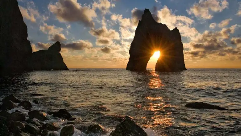 Koktebelskie Kameshki (2014)